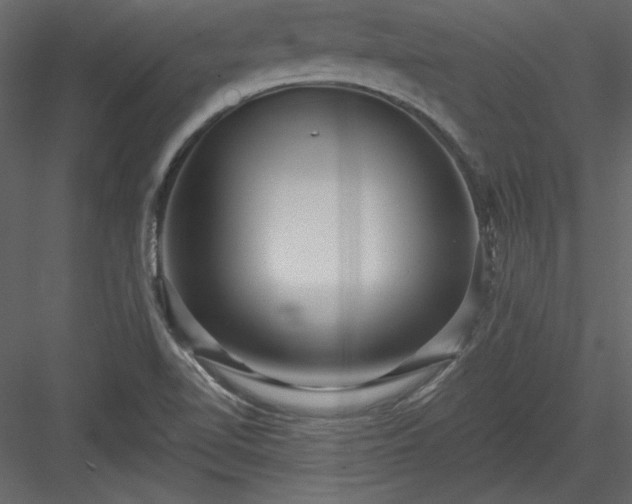 X0000084021510200702232218