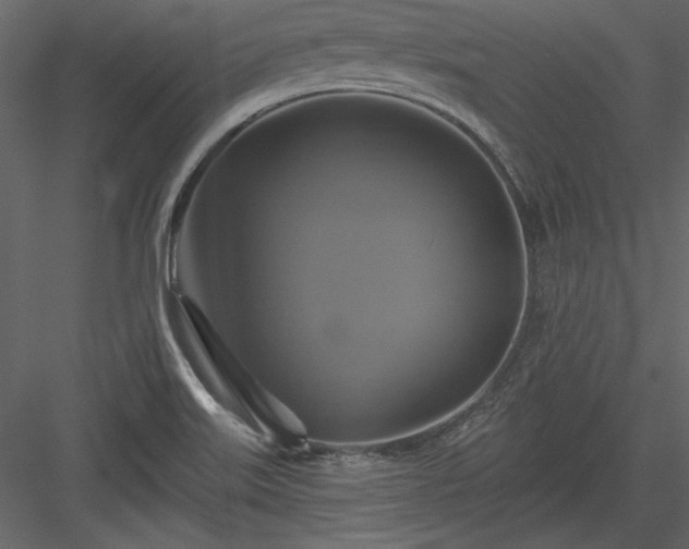 X0000084021515200702232218
