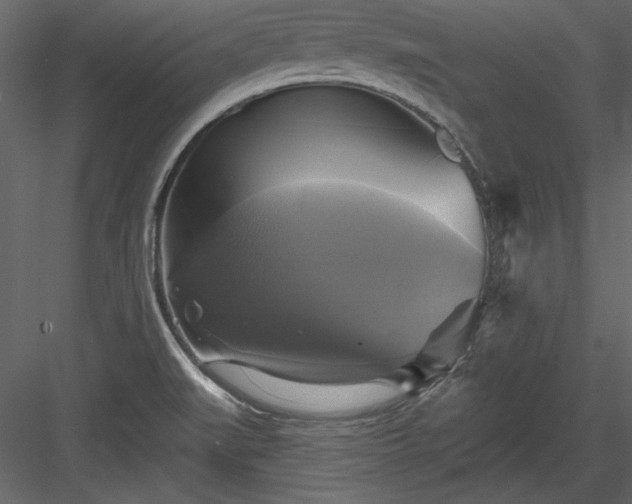 X0000084021519200702232218