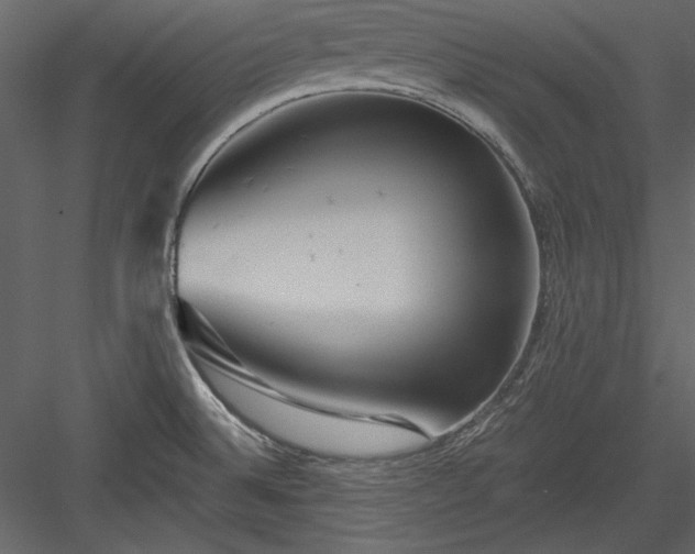 X0000084021524200702232218