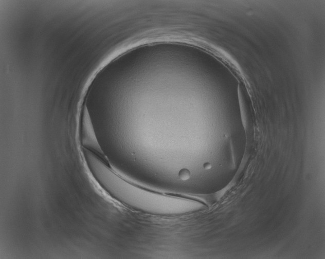 X0000084021528200702232218