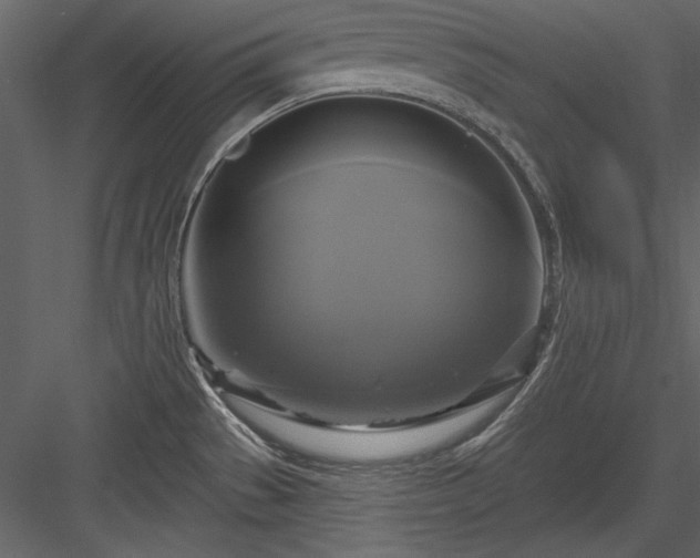 X0000084021529200702232218