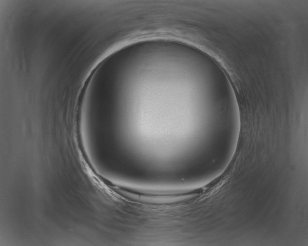X0000084021534200702232218