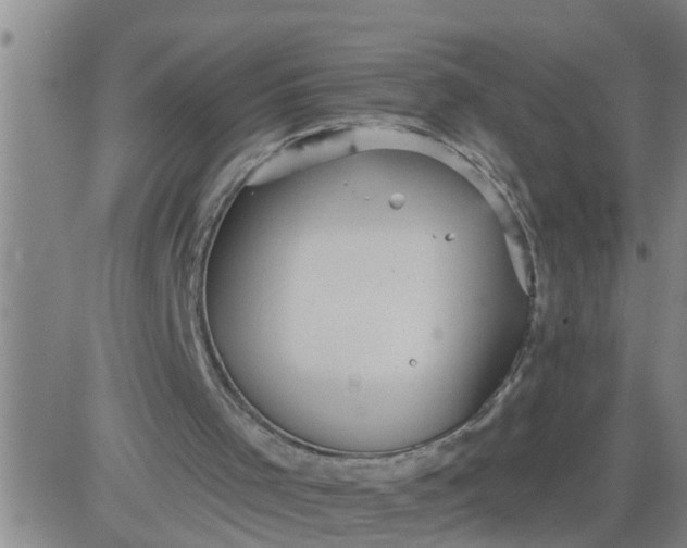 X0000084020001200703022109