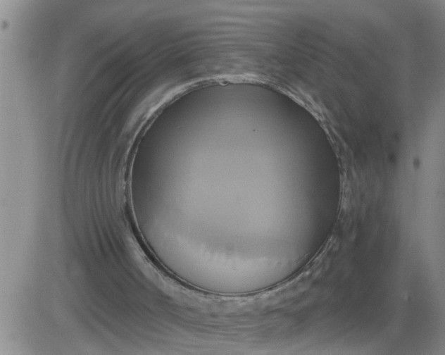 X0000084020002200703022109