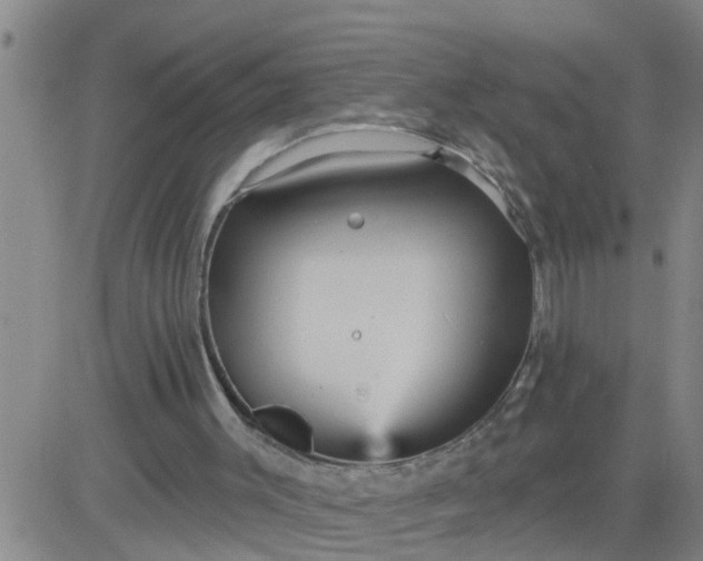 X0000084020003200703022109