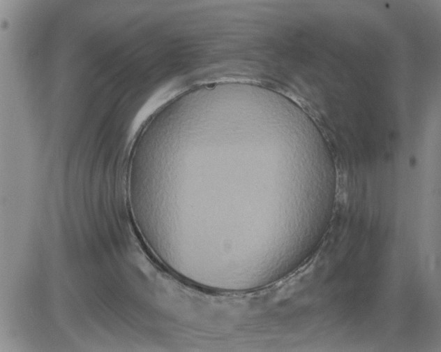 X0000084020004200703022109