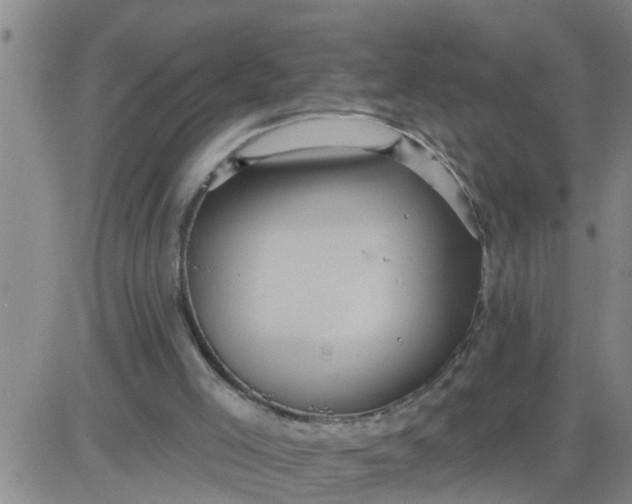 X0000084020005200703022109