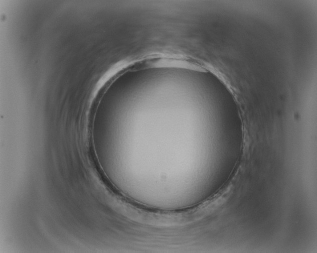 X0000084020008200703022109