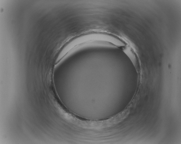 X0000084020009200703022109