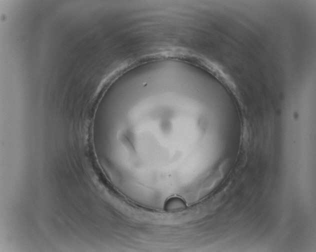 X0000084020010200703022109