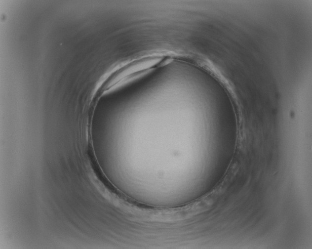 X0000084020011200703022109