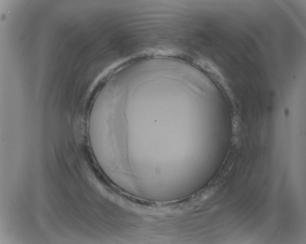 X0000084020012200703022109