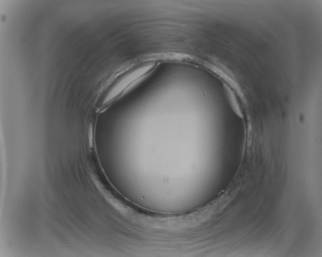 X0000084020013200703022108