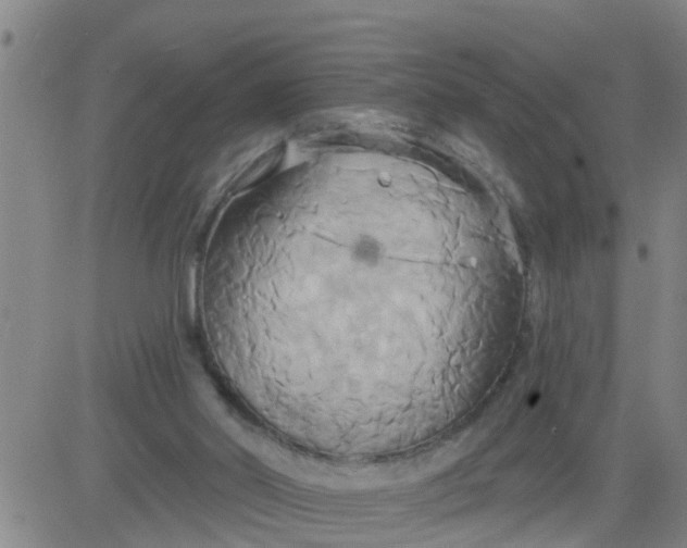 X0000084020014200703022108