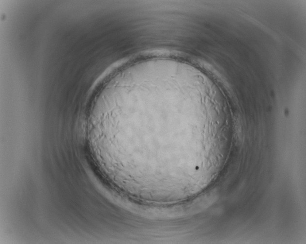 X0000084020016200703022108