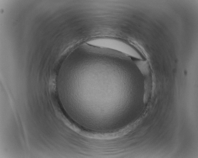 X0000084020017200703022108