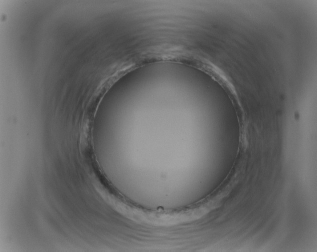 X0000084020018200703022108