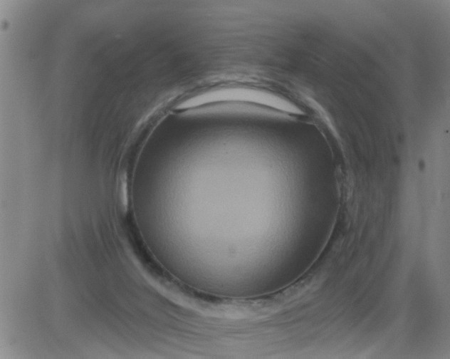 X0000084020020200703022108