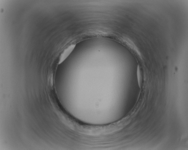 X0000084020021200703022108