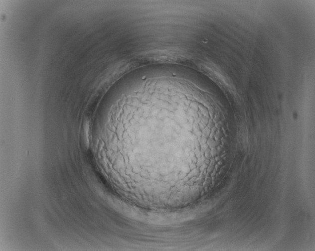 X0000084020022200703022108