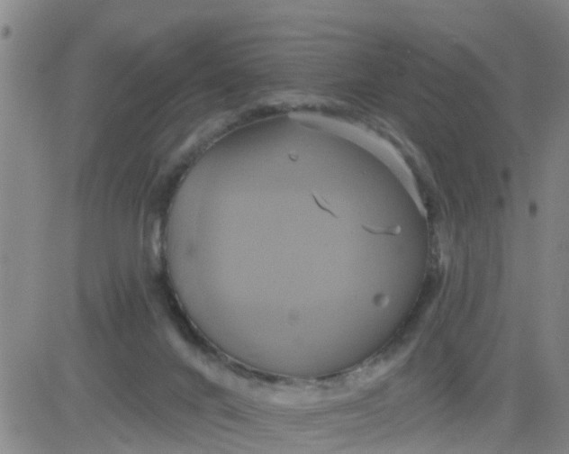 X0000084020024200703022108