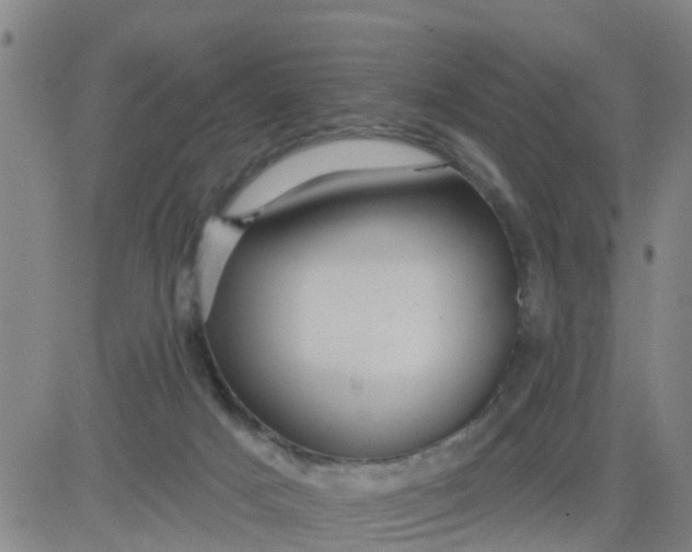 X0000084020025200703022108