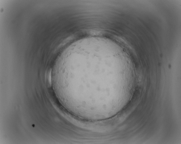 X0000084020028200703022108