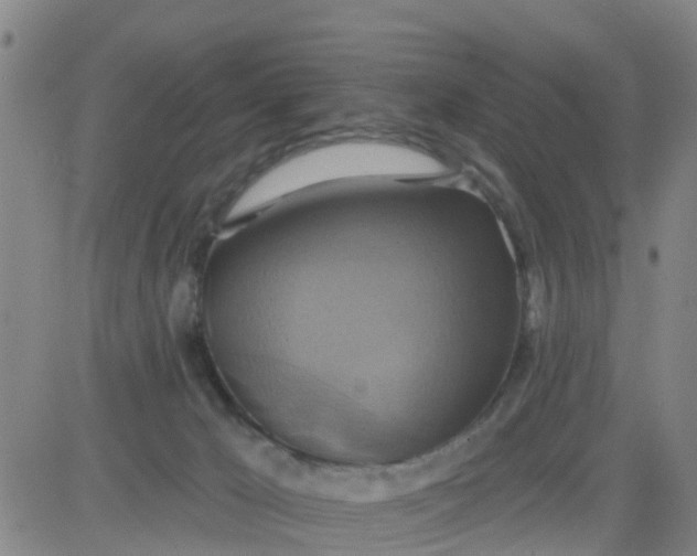 X0000084020029200703022108