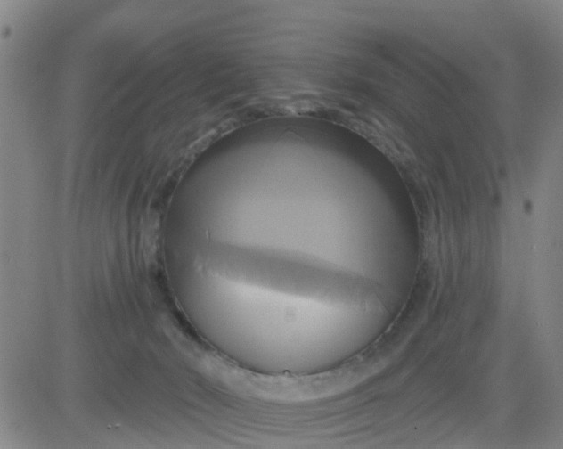 X0000084020030200703022108