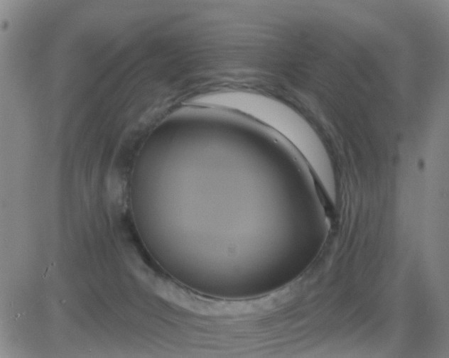 X0000084020031200703022108