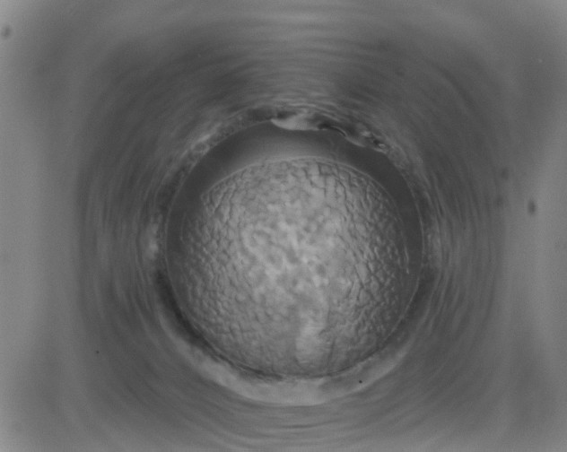 X0000084020032200703022108