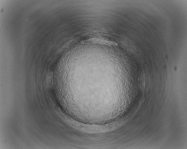 X0000084020034200703022108