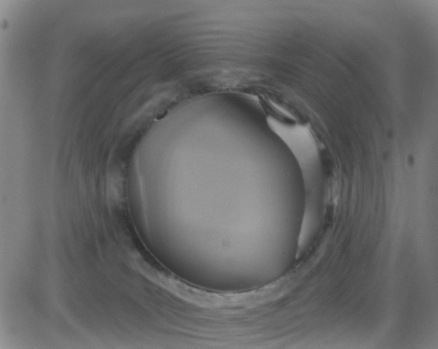 X0000084020035200703022108