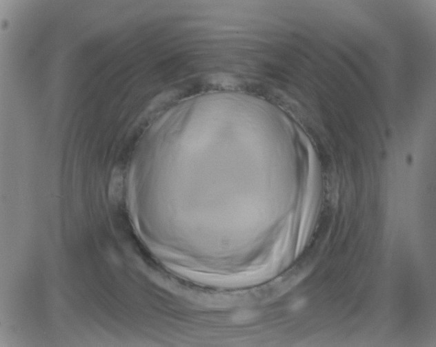 X0000084020036200703022108