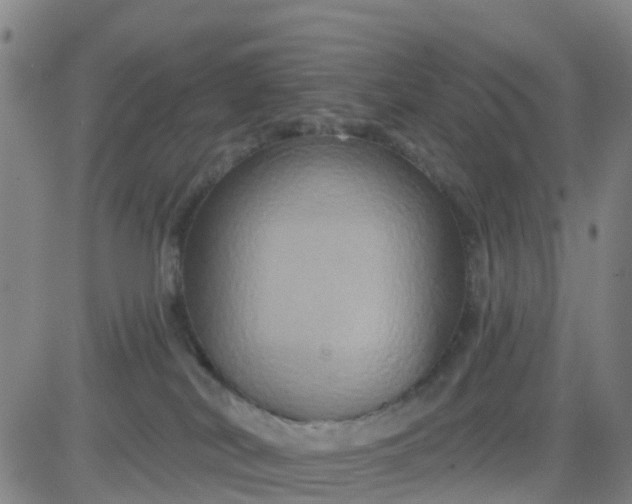 X0000084020038200703022108