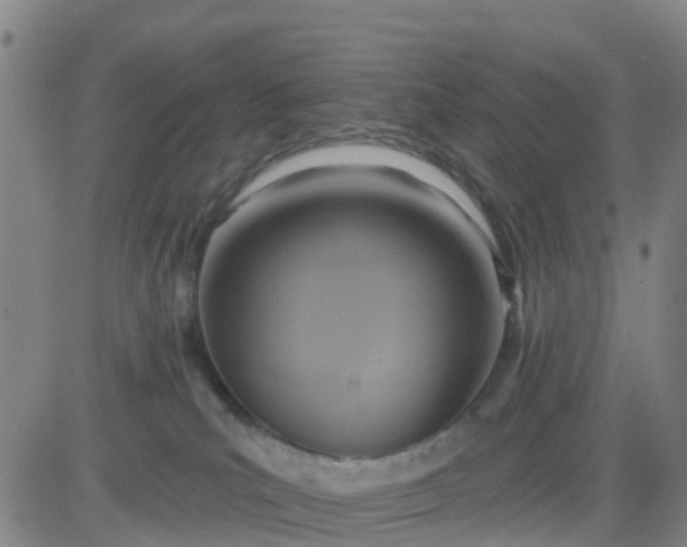 X0000084020039200703022108