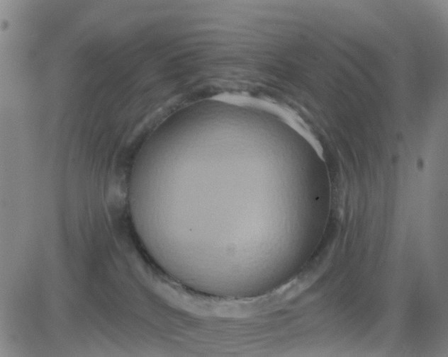 X0000084020040200703022108