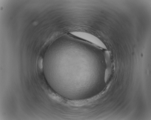 X0000084020041200703022108