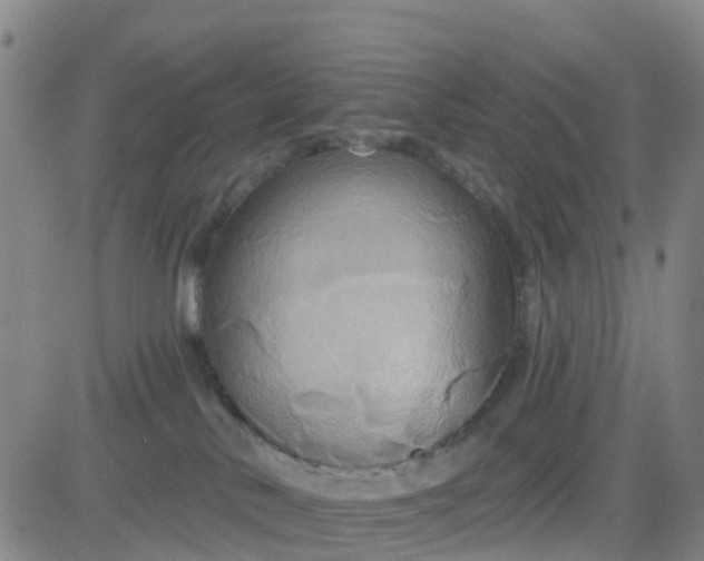 X0000084020042200703022108