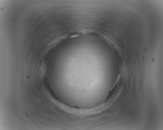 X0000084020043200703022108