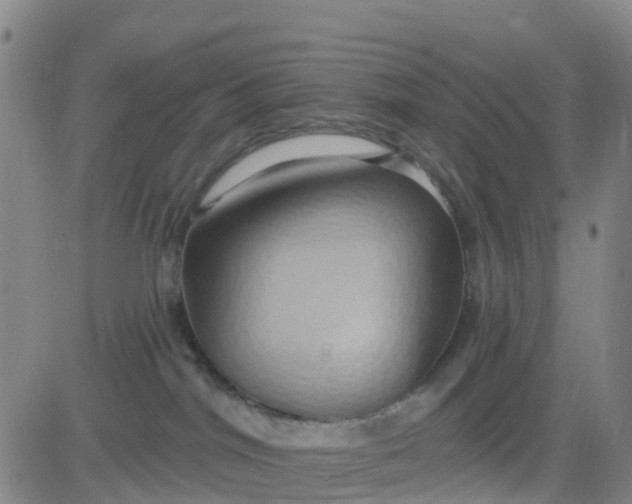 X0000084020044200703022108