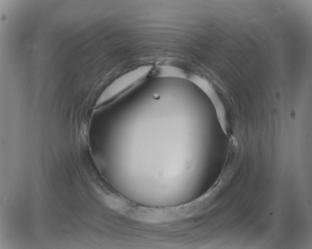 X0000084020045200703022108