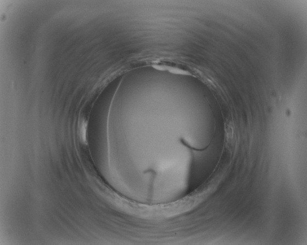 X0000084020046200703022108