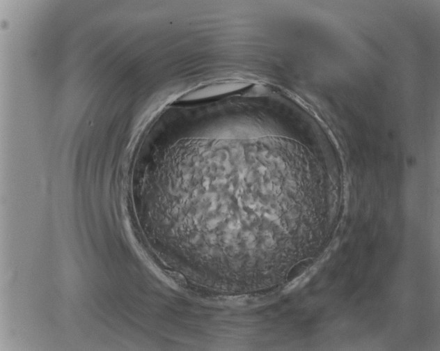 X0000084020049200703022107