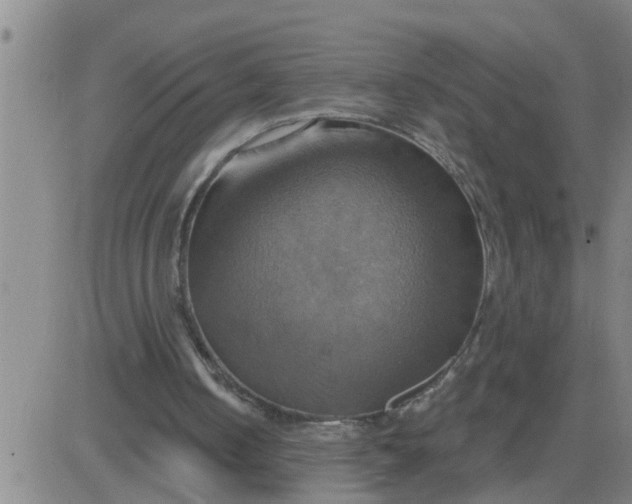 X0000084020050200703022107