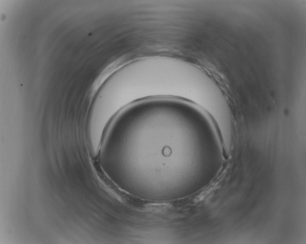 X0000084020051200703022107