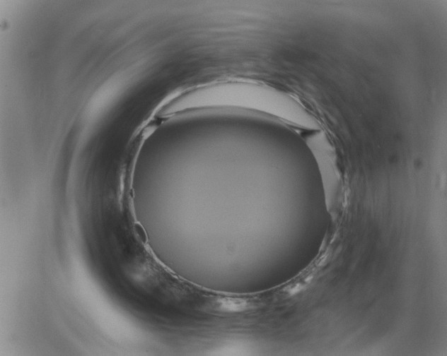 X0000084020052200703022107