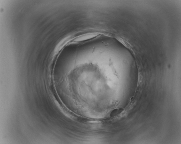 X0000084020053200703022107