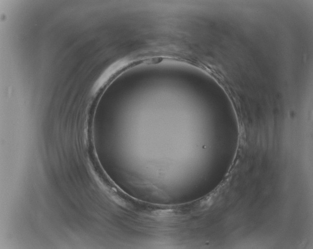 X0000084020054200703022107